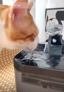 SmartTail Water Fountain na Pinapatakbo ng Baterya Wireless Cat Water Fountain 2.2L Awtomatikong Dog Water Fountain BPA-Free Water Fountain para sa Mga Pusa Indoor Outdoor