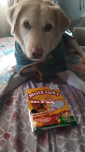 100g Pet Plus Meat Meaty Jerky Dog Treats Snack Food for Dogs All Stages Adult Puppy Pet Essentials