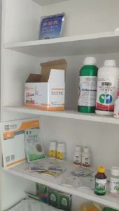 💗🙋‍♀️💗上海悦联15多效唑矮壮素小麦水稻桃树果树矮化剂控旺剂整箱