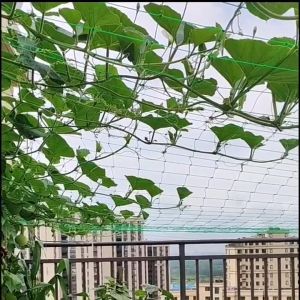 โครงตาข่าย ไนลอนแข็งแรงทนทานสำหรับ ไม้เลื้อยในสวน ใยบวบ ผักบุ้ง เถาแตงกวา