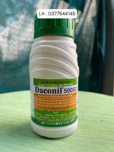 Thuốc trừ bệnh Daconil 500sc ( chai 240ml ) thương hiệu nhật bản