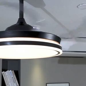 42/48 Inch Modern LED Remote Control Fan Chandelier: Living Room, Dining Room & Kitchen Interior Lighting