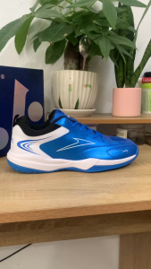 Giày pickleball cầu lông bóng chuyền Mira matrix