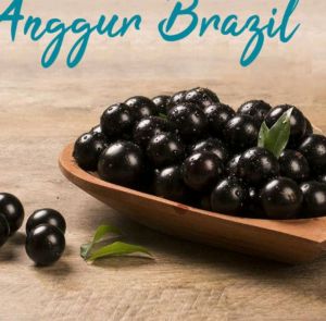 bibit pohon anggur brazil jaboticaba cepat berbuah manis