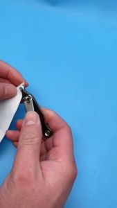 4 in 1 Gamefowl kit Chick toe puncher Chicken feet puncher marker Nose marker Feather scissor for fighting cock accessories