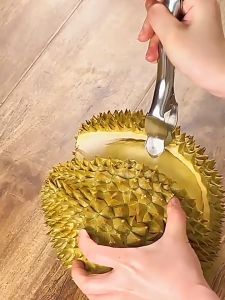 Tang Durian / Tang Pembuka Durian Tahan Lama Alat Pengupas Durian Anti Karat Alat Kupas Durian