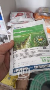 Herbisida Sistemik Selektif Untuk Padi Broadplus 77wp 40 Gram