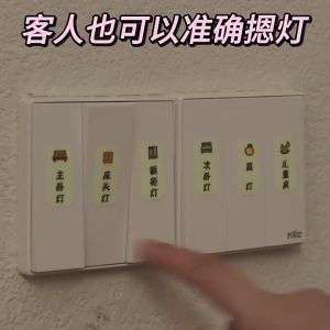 Switch Sticker / Electric Electrical Label / Icon Plug Label Wall switch labelling Glow in the dark