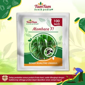 BENIH RUMPUT SUPER MOMBACA F1 PAKAN TERNAK (100 benih)