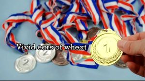 5/6.5cm medali lomba medali anak Medali kejuaraan Medali Emas Perak Perunggu Medali Penghargaan Medali Anak-Anak universal