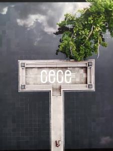 cece | Vali Hợp Kim Nhôm Magiê 20 Inch