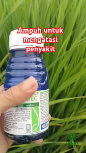 SCORE 250 EC SYNGENTA KEMASAN 250 ML FUNGISIDA ZPT Zat Pengatur Tumbuh Tanaman Obat Jamur Ampuh