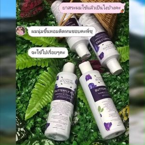 2 in 1 แชมพู สูตรผมดำ Jennesse ผมหลุดร่วง หงอก ผมบบาง ช่วยล้างสารเคมีตกค้างบนหนังศีรษะ เชื้อรา สูตรผมดำ สูตรผมดำ 2 in 1