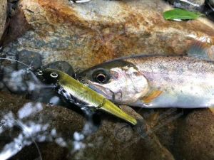 Japanese Gan Craft Jointed Claw 3500.00G-Section Fish 4.1G 4.6G Miniature Swimming Bait Swimbait