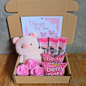✨ Pink Piggy Minky Kawaii Plush Holiday Gift Collectibles Plushie Stuffed Toys Treats and Snacks Romance Custom Message for Couple Jowa