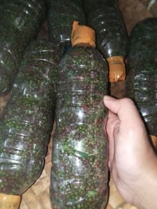 ANDALIMAN SEGAR BERAT 250 Gram .