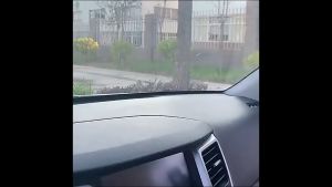 Giá Đỡ Điện Thoại Xe Hơi X1 Trục Thân Xoay Linh Hoạt Mặt Hít Chân Không Taplo Gương Trần Xe