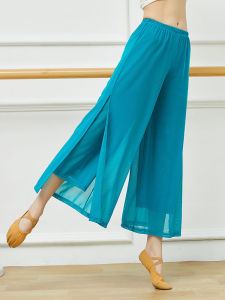 Classical Dance Practice Clothes Ethnic Chinese Style Elegant Gauze Wide-Leg Pants Body Charm Practice Pants Practice Double-Layer Yarn Pants