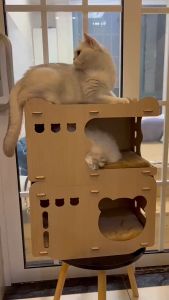 Cat House Wooden Bed Scratching Boad Recess Space Cat Condo Tahan House DIY Assembly