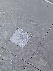 Floor Drain Floor Drain Bounce Core Drain Foot Operated Odor Proof Stainless Steel Bathroom