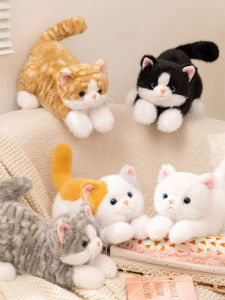 QIAOSHANG | Cute and Soothing Cat Plush Toy