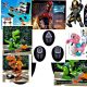 MP Toys Studio