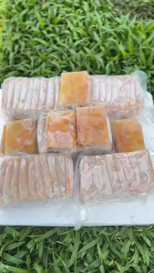 [HỎA TỐC HCM] Sapoche/Hồng Xiêm đông lạnh định lượng túi vuông 100g - dùng làm sinh tố trái cây tô - Trái Cây Cười