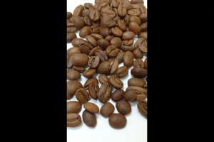 Bean - Antler® Single Origin Papua New Guinea