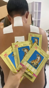 [CHÍNH HÃNG] Bộ 10 gói Cao dán Con cọp 7 chữ Thái Lan (1 gói 4 miếng)