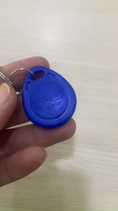 Bịch 100C Thẻ Từ dạng móc khóa RFID Tần Số 125 - Loại có ID sẵn