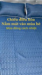 Chiếu Điều Hòa TOKDODO Vải Tencel Tặng Kèm 2 Vỏ Gối Thoáng Mát 4 Mùa.
