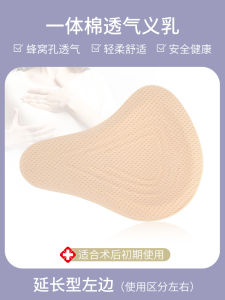 แผ่นเสริมหน้าอกแบบอินทรีย์พร้อมแผ่นดันน้ำมันสำหรับผู้หญิง ชุดชั้นในแบบหนา ชุดชั้นในแบบหนา ชุดชั้นในแบบอินทรีย์ ชุดชั้นในแบบอินทรีย์