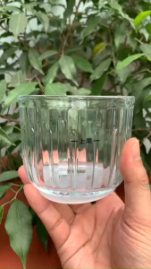 Phụ kiện thay thế cho máy xay BEAR 0.3L model GR-B03V8 dòng 8 lưỡi dao