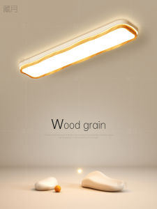 Zen Style LED Ceiling Light