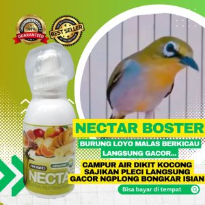 Nektar ProBird 60ml: Vitamin Burung Pleci & Kolibri Meningkatkan Gacor Power Stamina