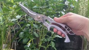 Kéo cắt gà vịt cắt thực phẩm cao cấp của Đức - Kéo Nhà Bếp Đa Chức Năng Để Cắt Thịt Và Xương Kéo Làm Cá Kéo Xương Gà Mạnh Mẽ