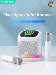 soaiy | Bluetooth KTV Mic & Speaker Home Karaoke System