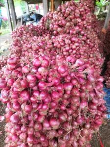 Promo Bawang Merah Super Asli Garut Bawang Merah Enak Lezat Harum