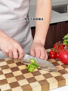 Mad Shark | Damascus Steel Santoku Chef Knife