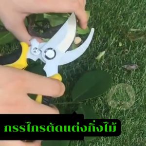 กรรไกรตัดกิ่งไม้ขนาด 8 นิ้ว ดิจิทัล S16 ผู้ใช้งาน 700 บาท กรรไกรแต่งกิ่ง กรรไกรทำสวน กรรไกรตัดแต่งกิ่ง อุปกรณ์ทำบอนไซ Aomam.garden