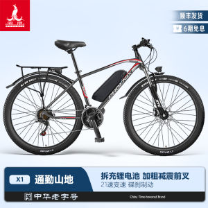Phoenix Lithium Battery Electric Bicycle New National Standard Small Size Adult Men Women Shared Electric Car Bike