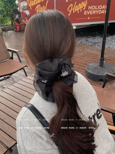 Korean Drama Main Actress Style Large Mesh Pearl Hair Ties Womens Big Size Hair Bands New 2025 Fashion Sensation Hair Accessories