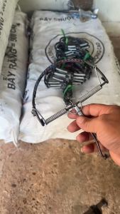 กับดักหนู วงเดือน กับเวียดนาม ขนาด 5 นิ้ว 6 นิ้ว 6 นิ้วมีฟัน มัดละ 10 ต้ว