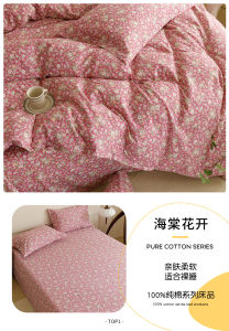 Pure Cotton 100% Bed Sheet Single Piece Xinjiang Cotton Duvet Cover Set of Three for Students Dormitory Home Use