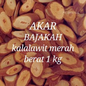 Akar Bajakah Kalalawit merah Asli Kalimantan/Bajakah original