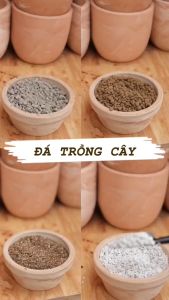 Túi 500Gr/Túi 1Kg - Đá Perlite đá trân châu trồng cây | Độc quyền Family Garden