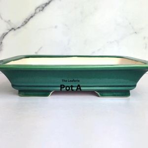 The Leaferie Bonsai Tally  (Series 4) rectangular Pot rectangle Plant pot . Ceramic . big Flowerpot . Planter. Flower pots
