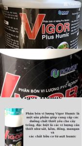 Vigor Humic 4l – Phân bón vi lượng giúp cây trồng phát triển khỏe mạnh và bền vững
