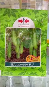 Benih Timun Bandana F1 800butir