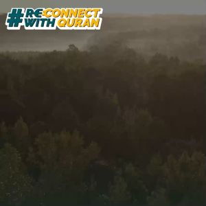 Buku Reconnect With Quran